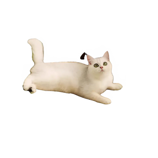 0ad8be0c-f08b-4a60-86cc-f9be31c03d9c