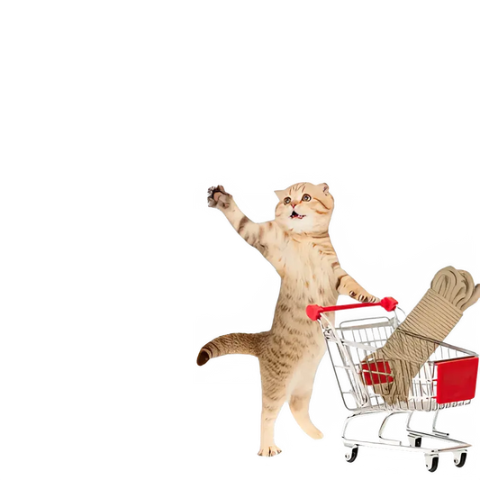 11bba4ca-a40c-4465-b2f4-1ed4e9dcb33d