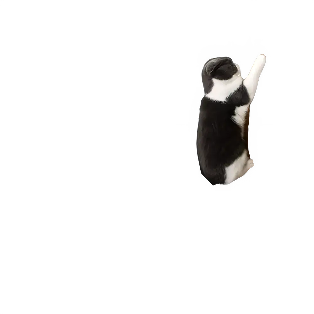 26a36ac4-694c-4658-9807-1b27356a2fc7