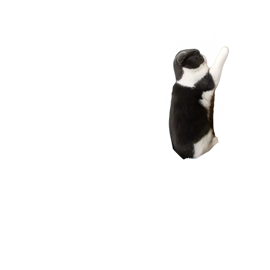 26a36ac4-694c-4658-9807-1b27356a2fc7