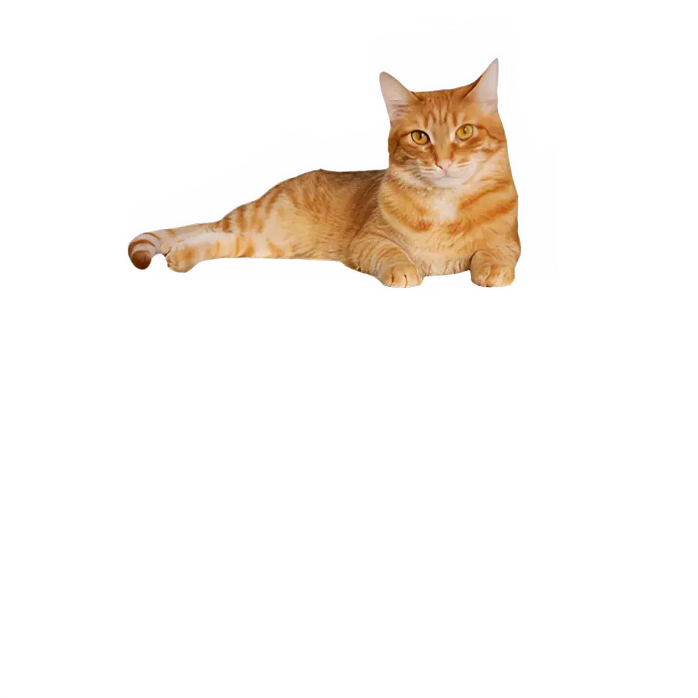 407bf47f-007f-4f57-816f-17064448bef9