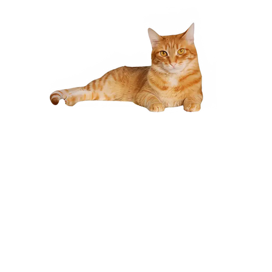 407bf47f-007f-4f57-816f-17064448bef9