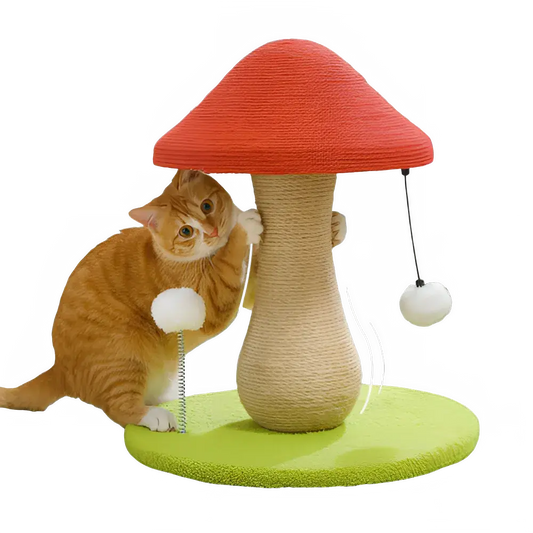 6e943181-b41e-478d-95d2-cae6f8b0f7ba