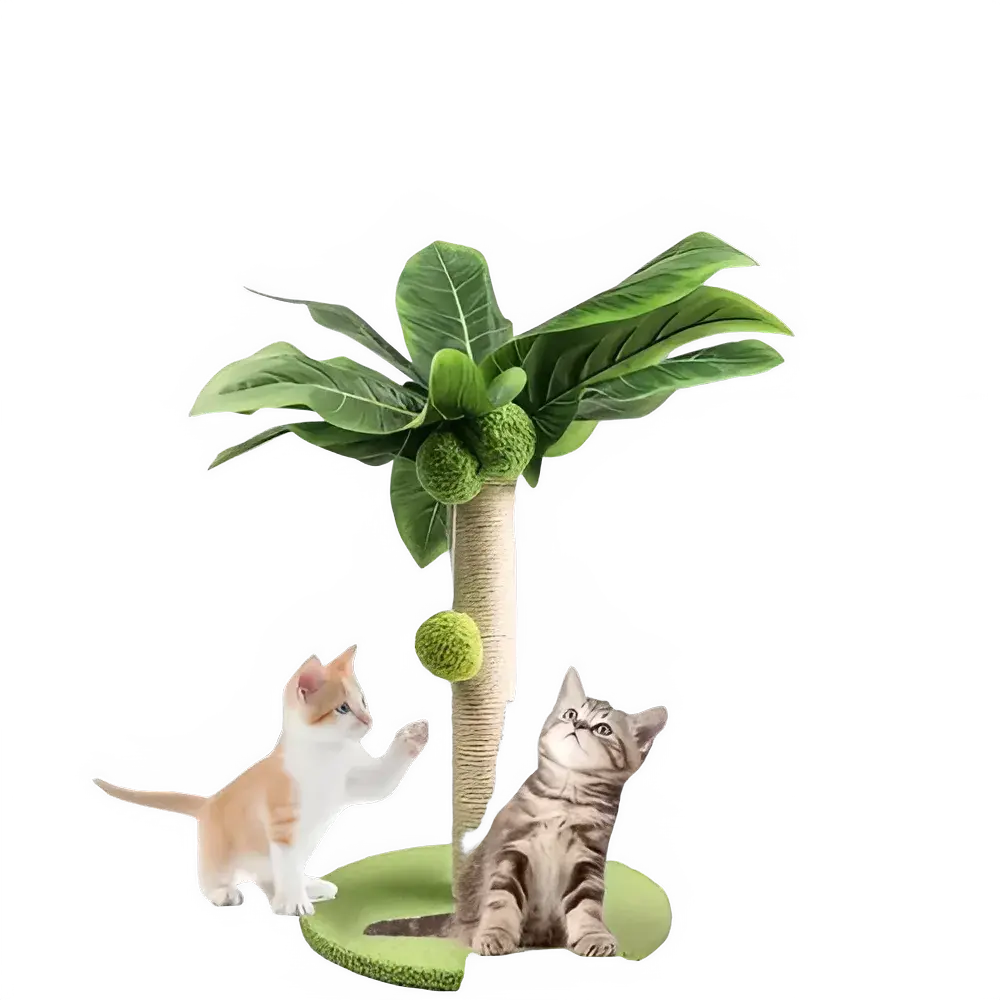 85577091-edfc-4561-8cc8-17acf9ddc99e