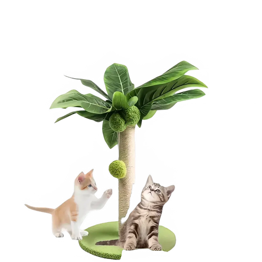 85577091-edfc-4561-8cc8-17acf9ddc99e