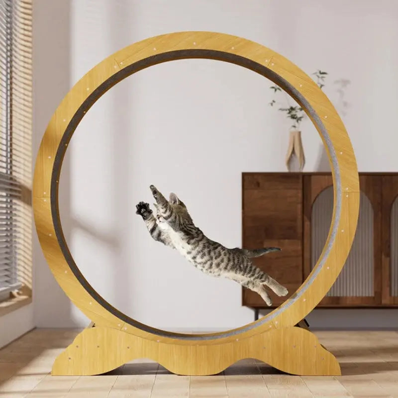 S0eccfdf9b0f845d0adb712b16870a44by