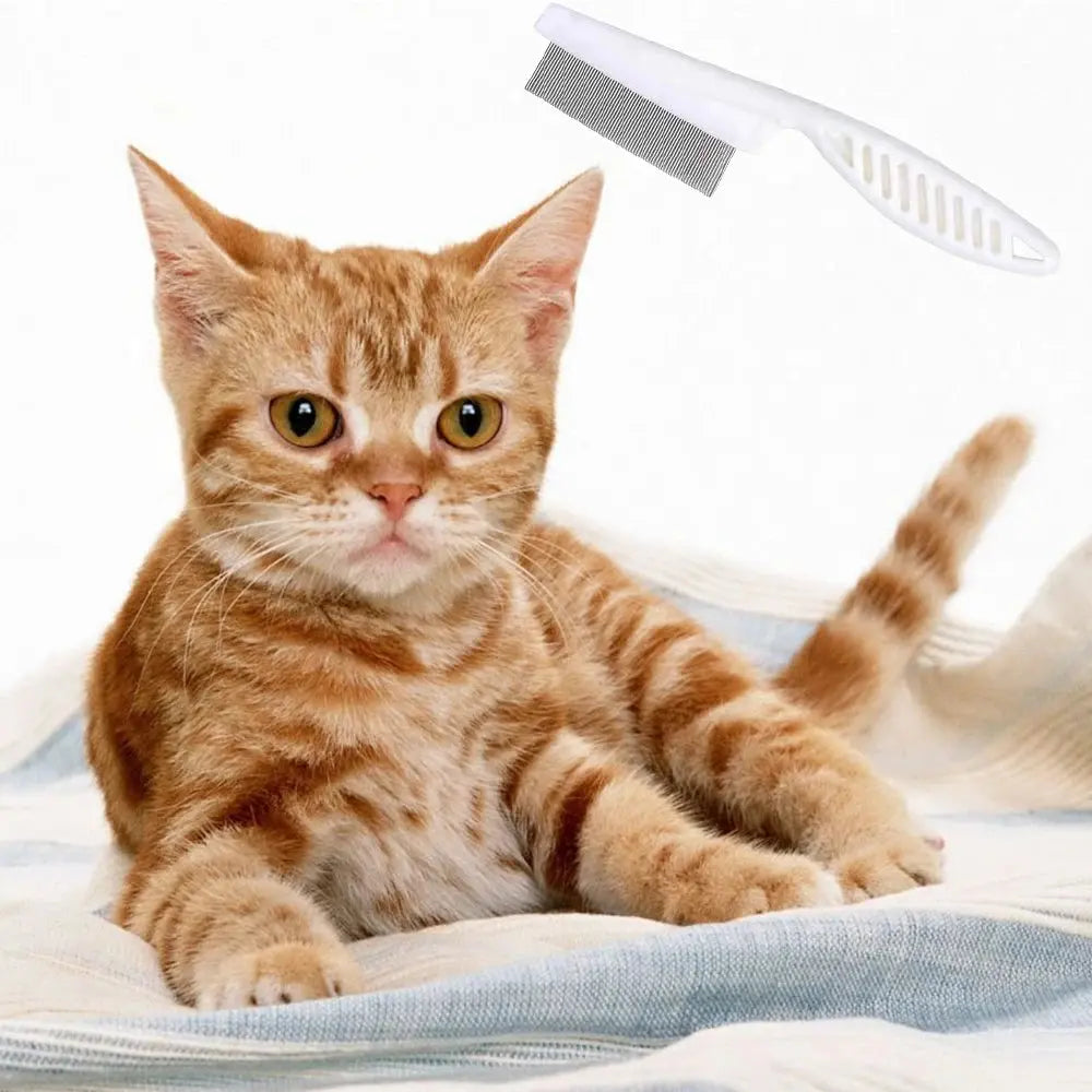 S1134544db8b14e15a5ae5906b5a2a22ae