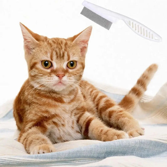 S1134544db8b14e15a5ae5906b5a2a22ae