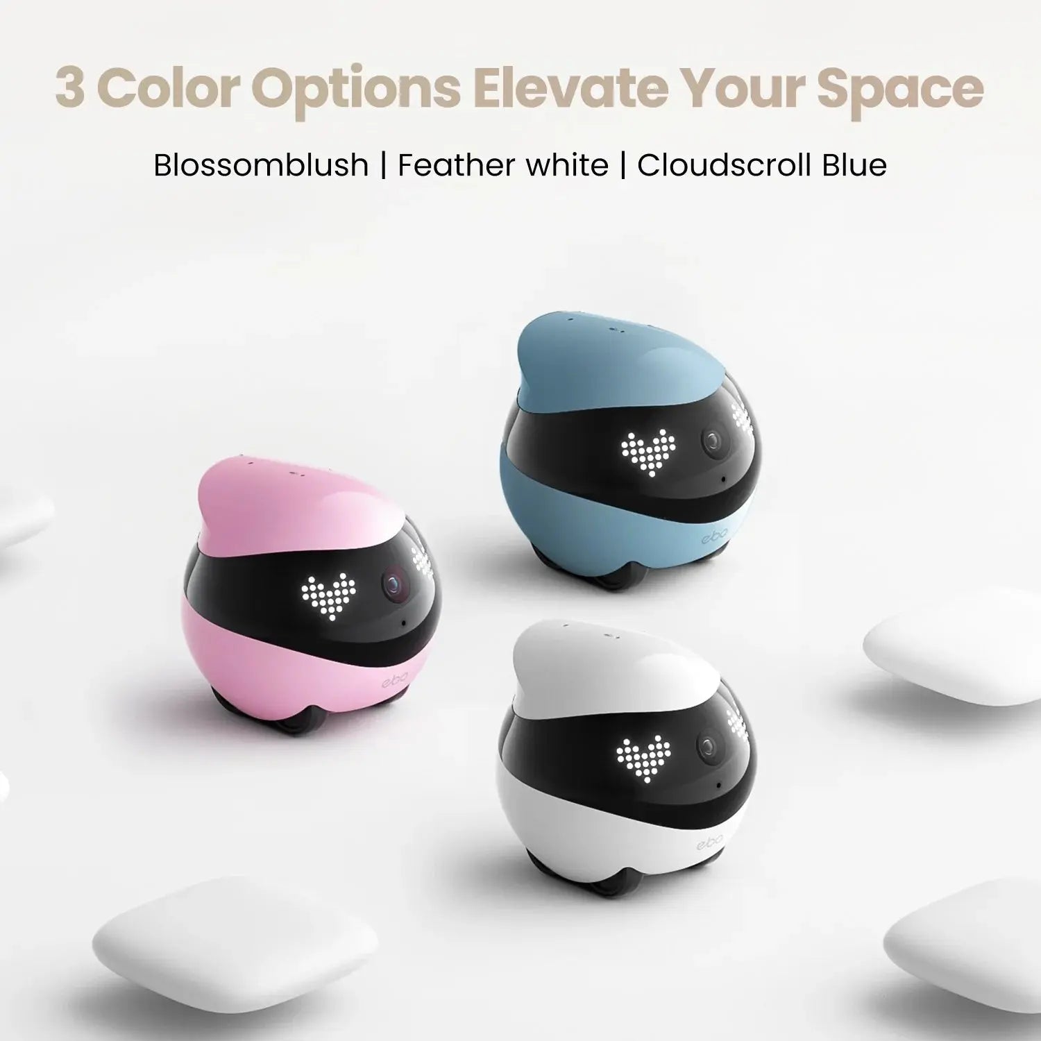 S2b0bbc3572934970859fa3cda22d32d7z