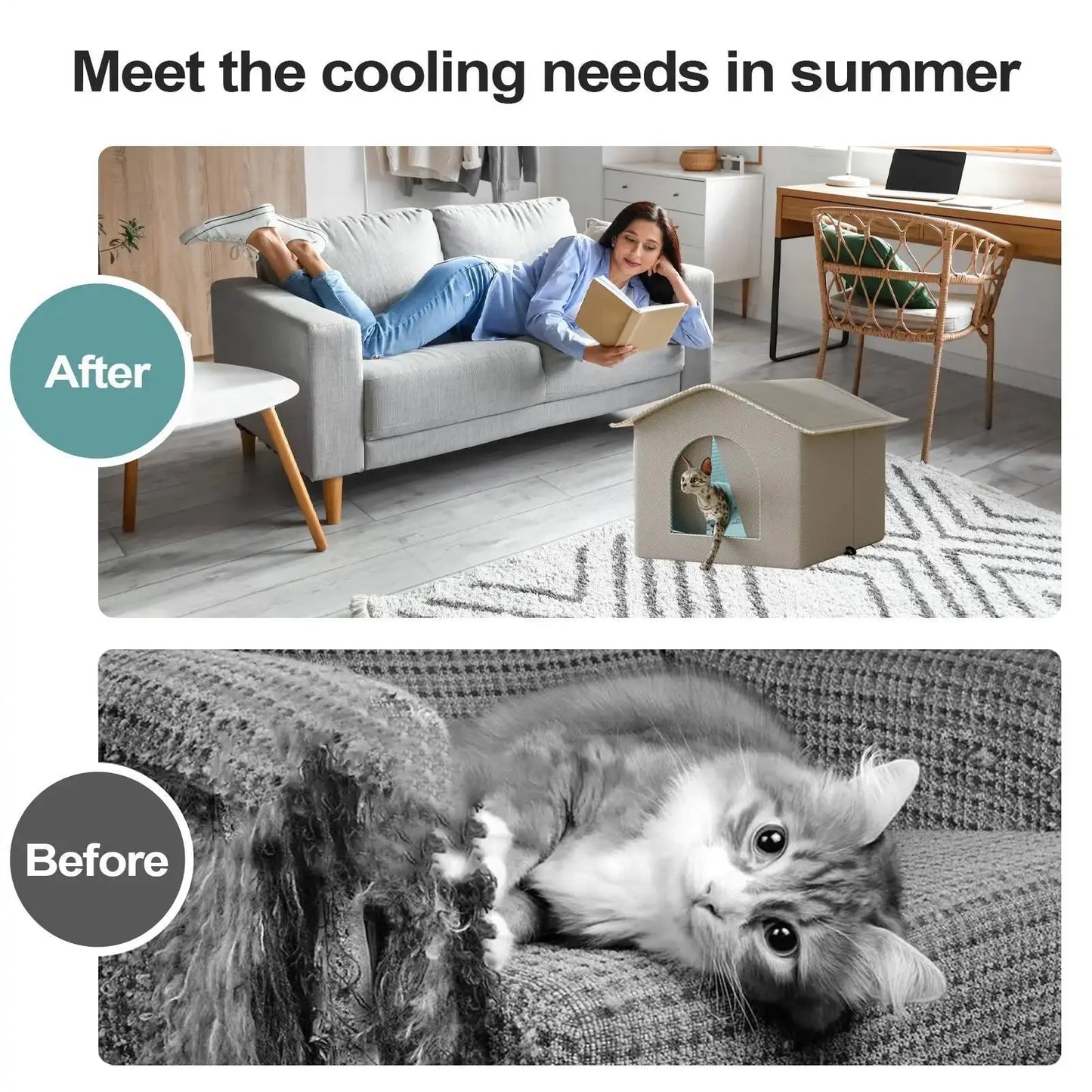 S42798829196041639d75b6b9e901a45b4