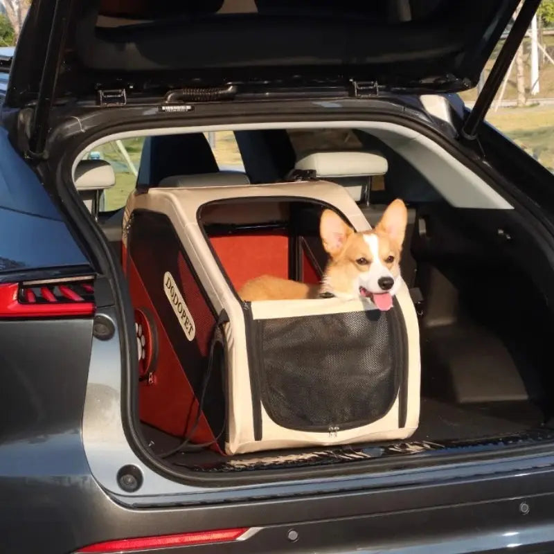 S54b4a6419fc64539a96fa4aa97821cafz