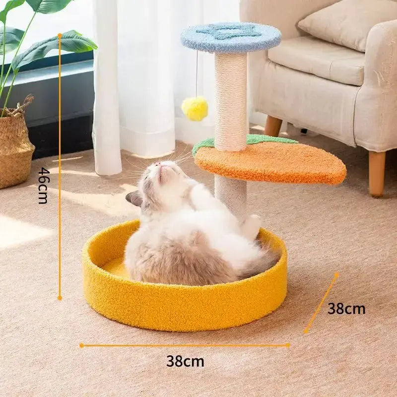 S629ac5e18e93464c81260fc187b5d973b