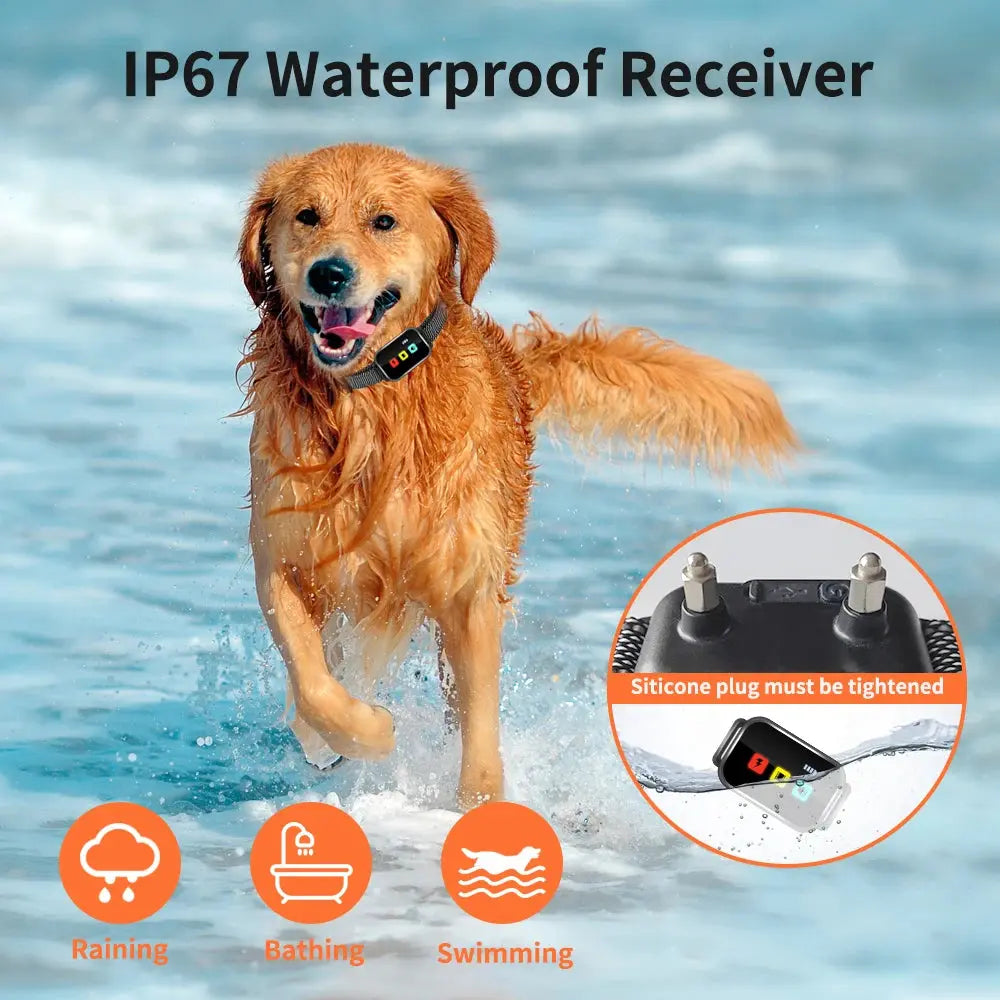 S639230c95381401b8e9cbc62d3e4c8c71