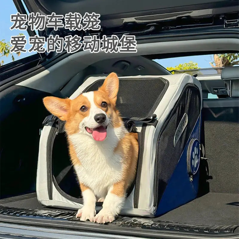 S64f240179c5d45b58a47216562f110b0c