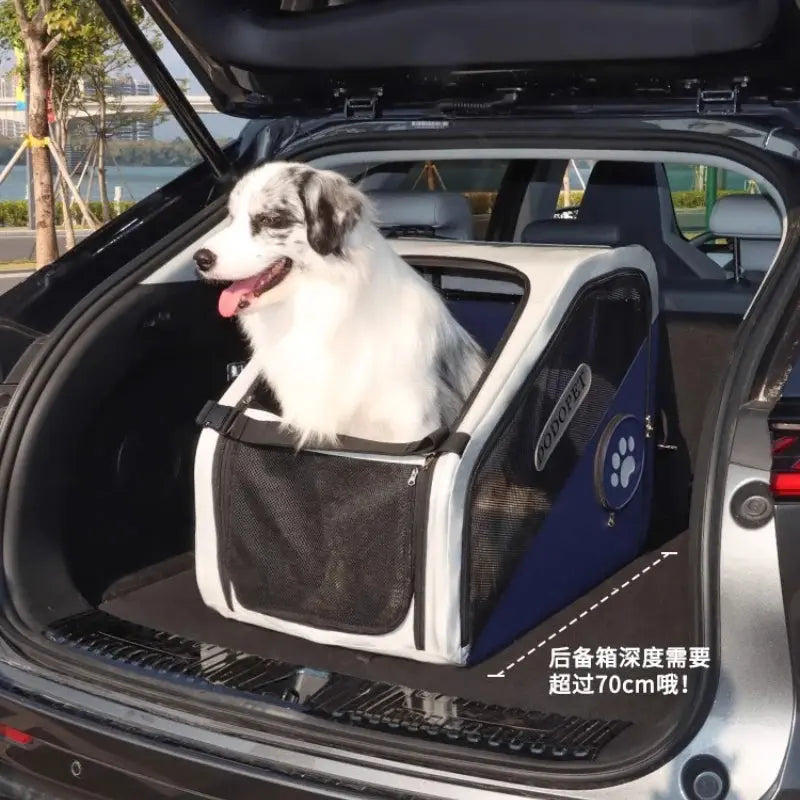 S6718a7596cd342cdbfae5b20731a8199C