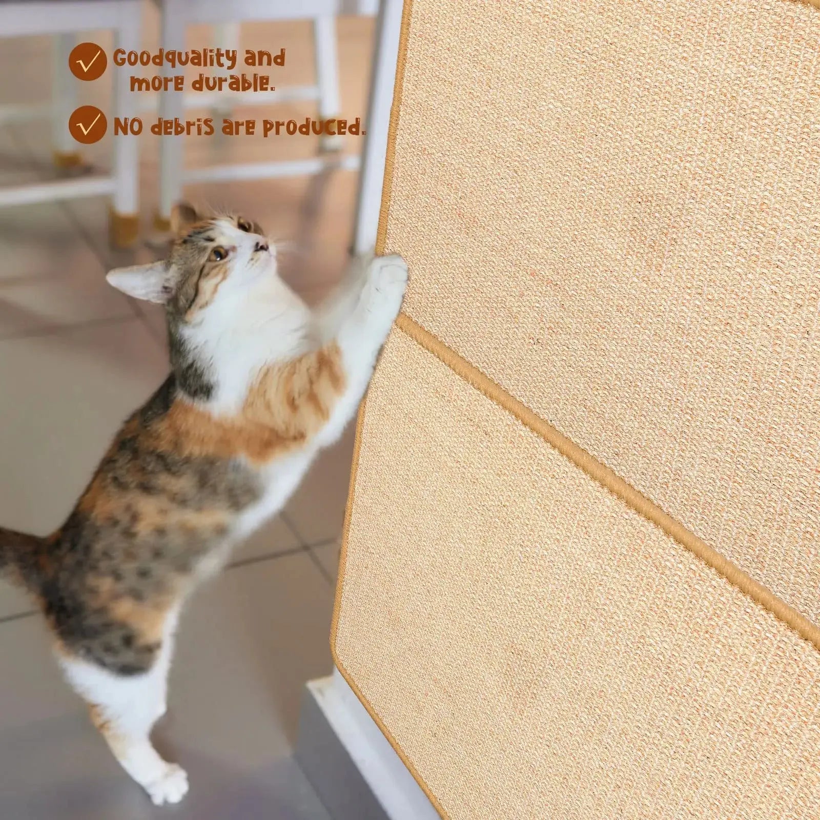 S74b17f818c4b4385bb769ac4a44977c6F