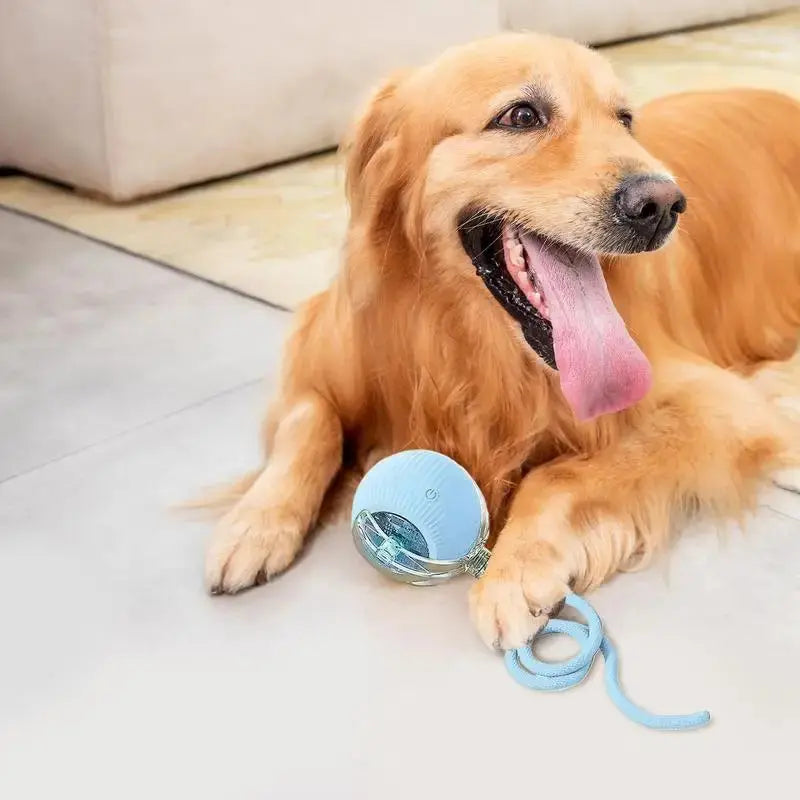 S8ba3422b6d8f42e0adfc4db70171458bQ