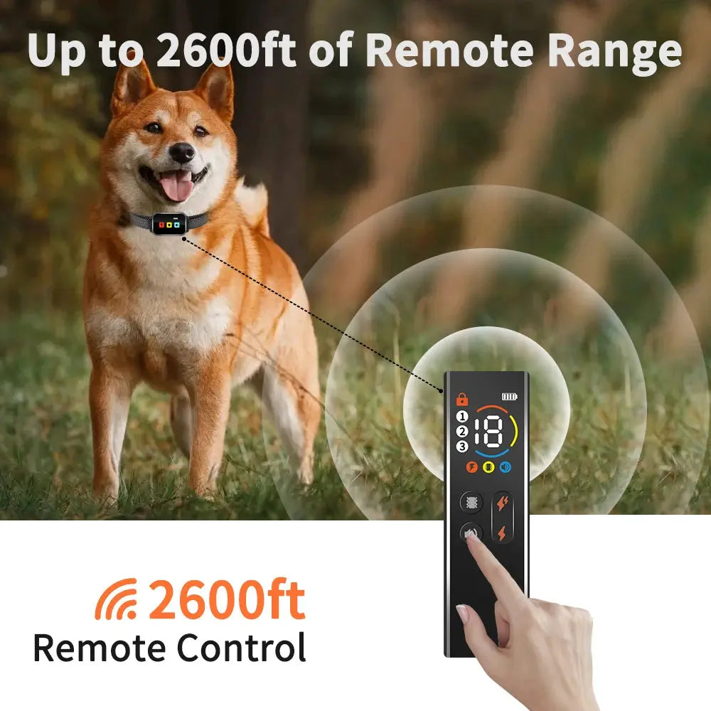 S9a8c61290a544817bcb6982d0663ba27D