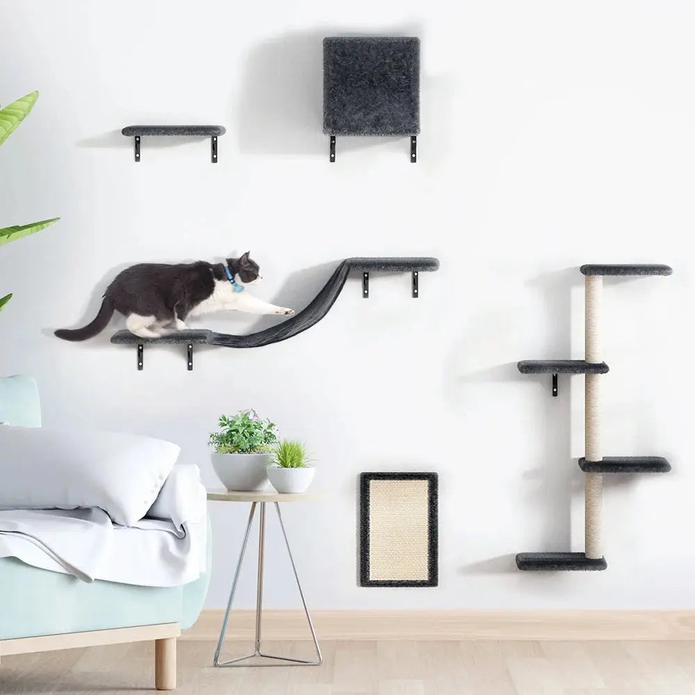 Sc3af8cbe765d42c5aea0e7690d20d3f2n