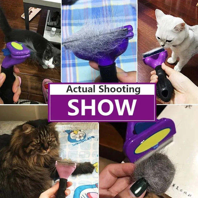 Scdca3d45488c4be694340d0de655e448y