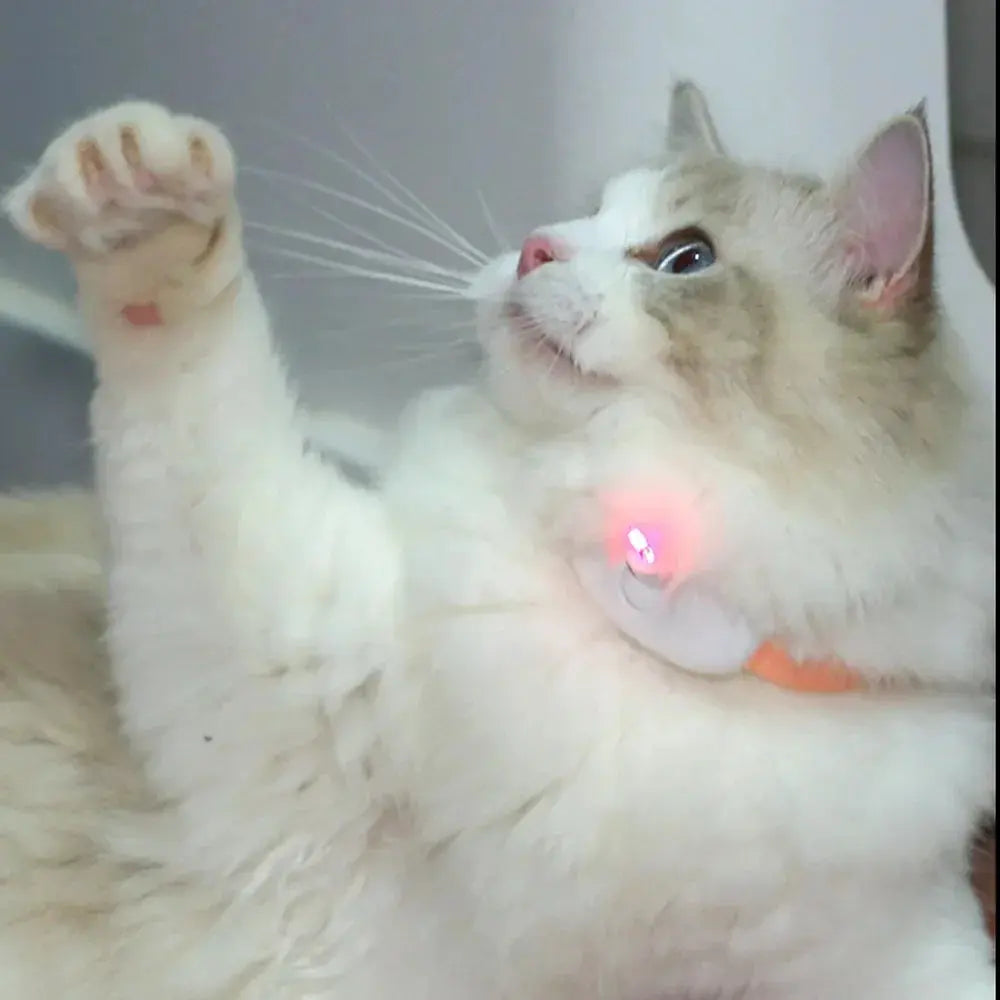 Se83d94972ce74dae8482b537de8b2e43t