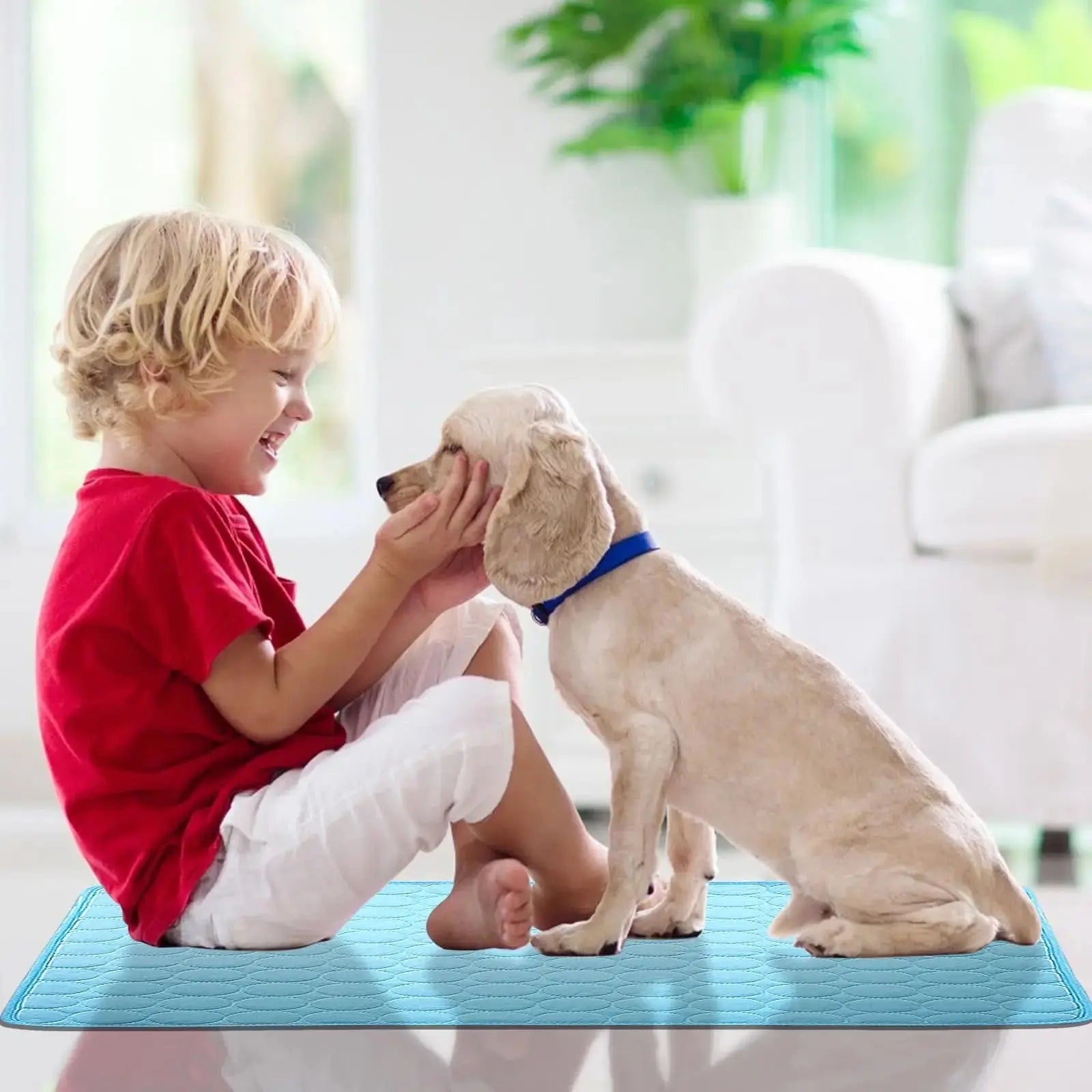 Se9444c6d30a048c981d32838a62bbb8an