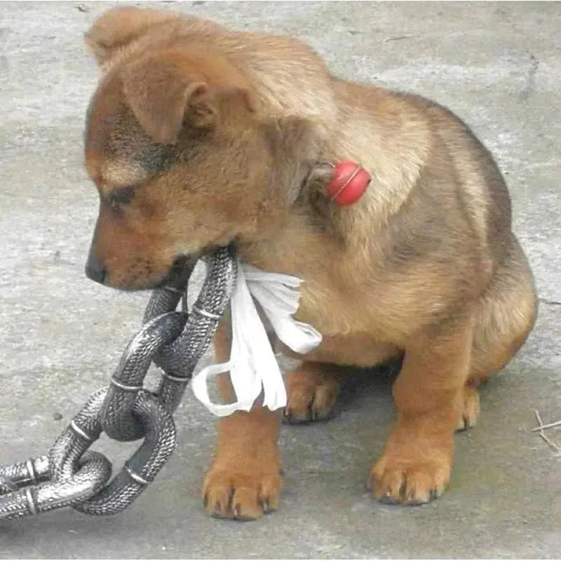 Sf54555a999894b789e68196a1e12d5b71