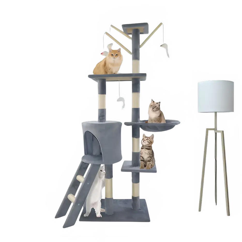 bdf0ec06-a056-468d-b70b-d3b51e45afe4